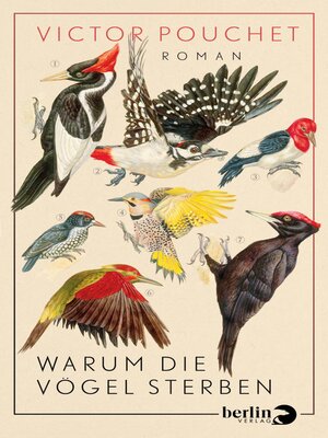 cover image of Warum die Vögel sterben
